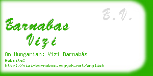 barnabas vizi business card